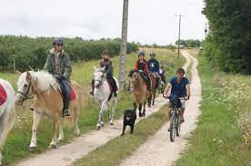 Equitation Azay Le Rideau